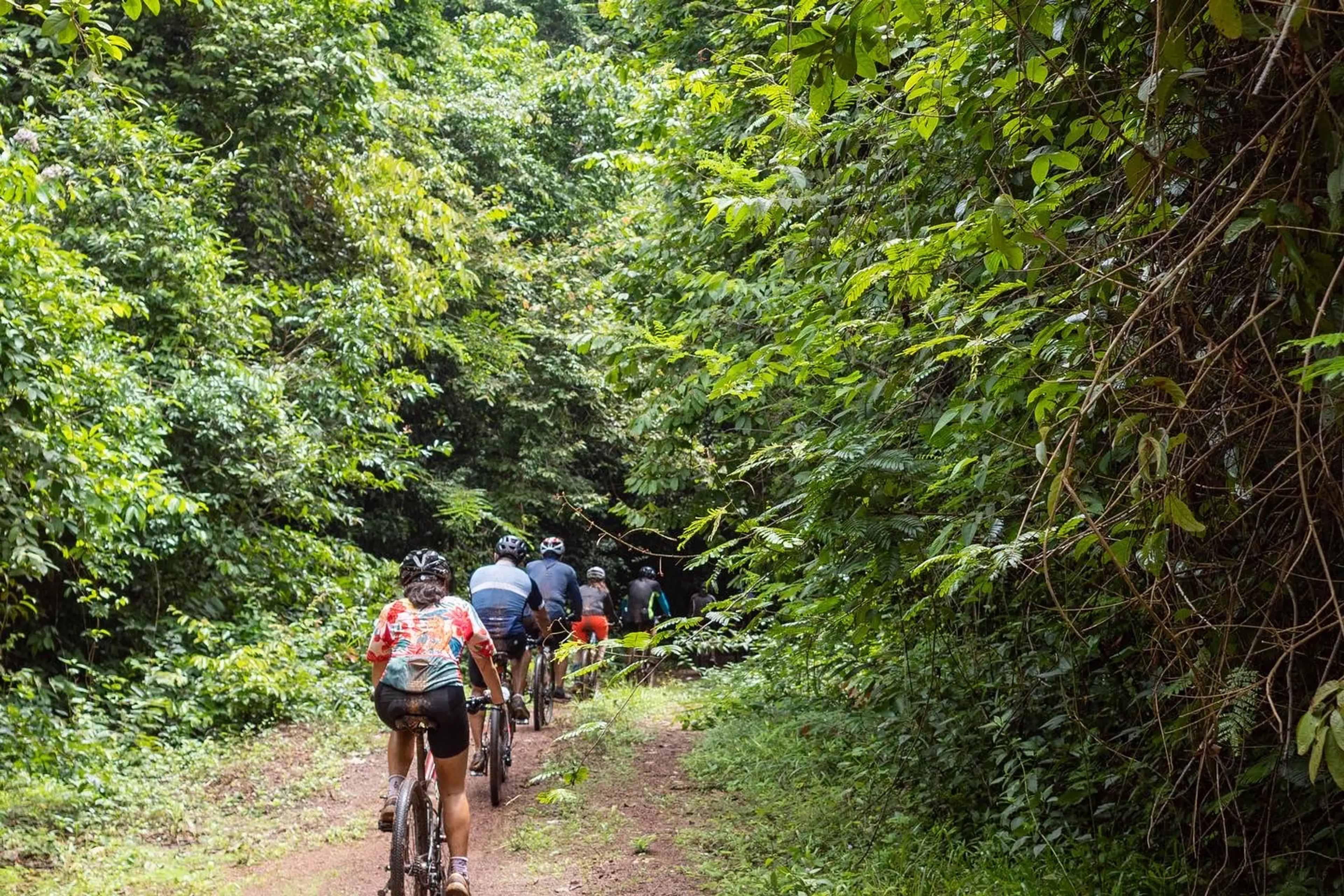 South Vietnam Jungle Adventure Cycling Tour