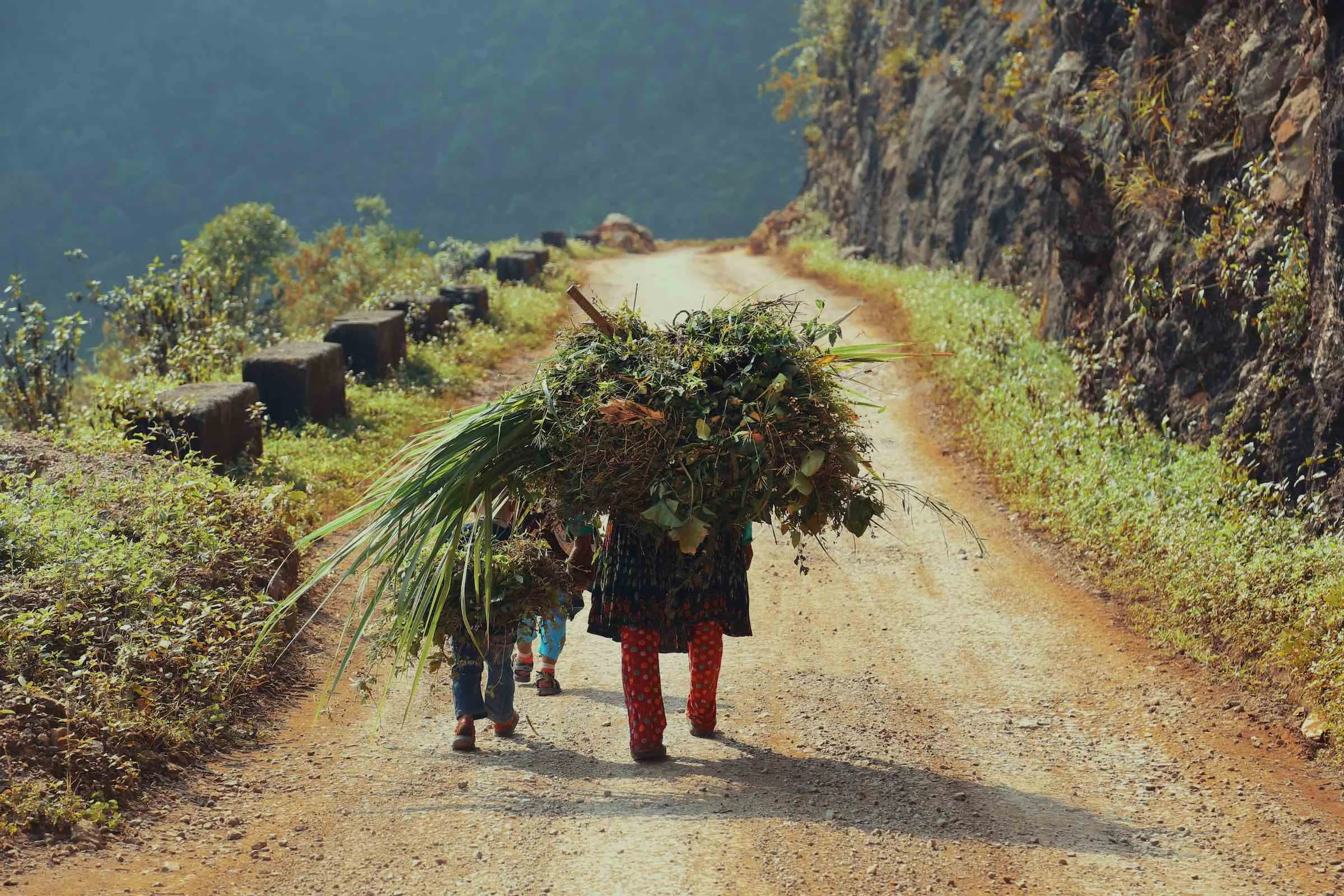 A family carrying vegetables home - taken by Minh Triet