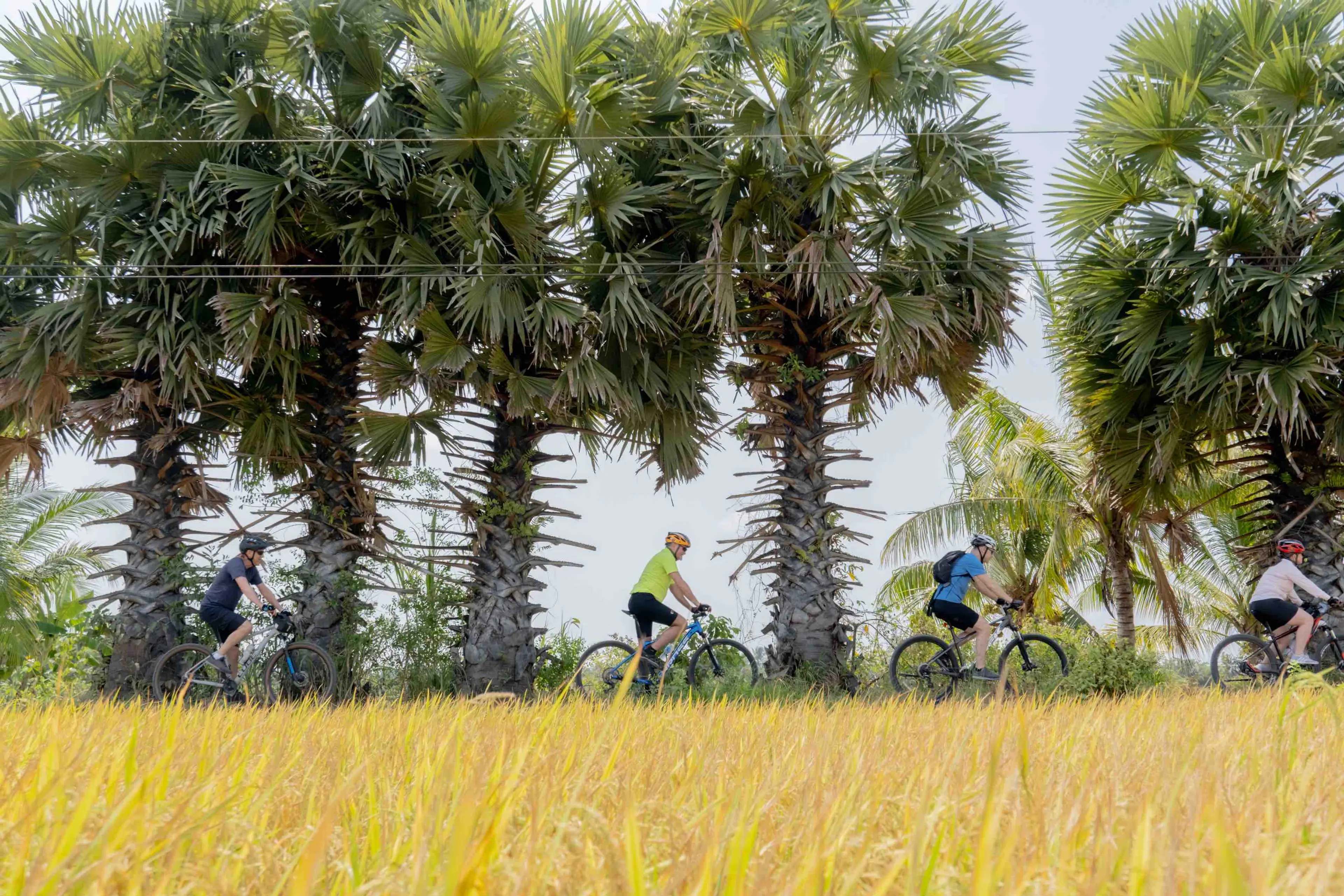Mr Biker Saigon, Mekong Delta Cycling Tours, Vietnam